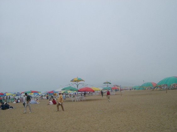 03072729.JPG (35296 oCg)