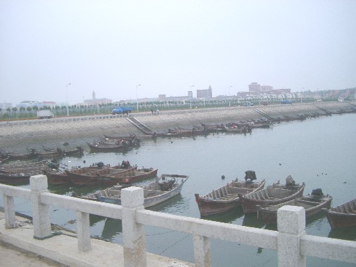 03072742.JPG (42419 oCg)
