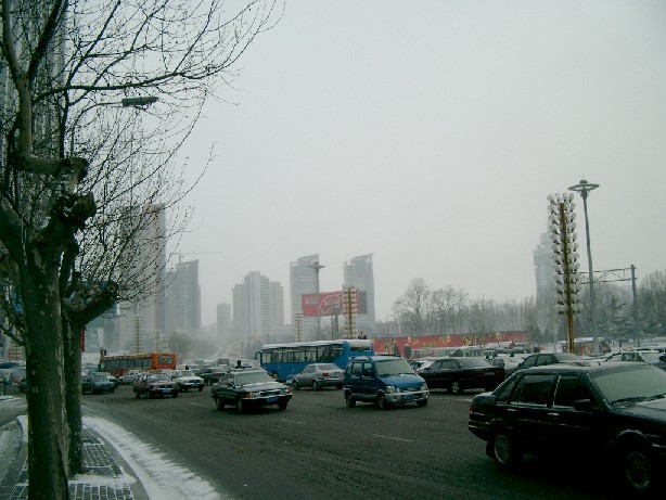 04012149.JPG (80657 oCg)