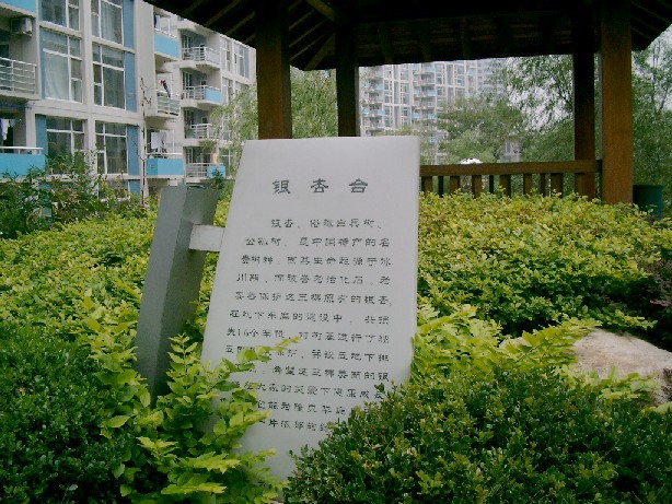 04062009.JPG (128621 oCg)