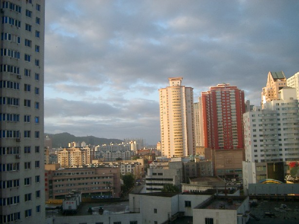 03080311.JPG (73096 バイト)