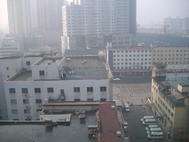 03110211.JPG (65741 oCg)