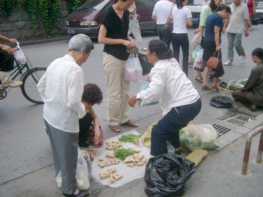 03080301.JPG (68951 バイト)