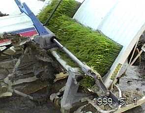 0503.jpg (13445 バイト)