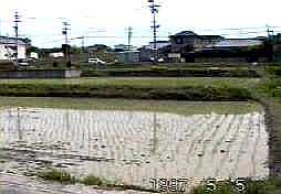 0512.jpg (8332 バイト)