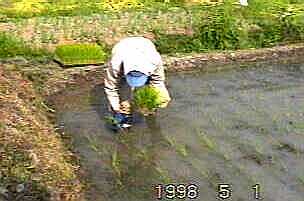 0513.jpg (11859 バイト)