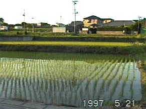 0526.jpg (9655 バイト)