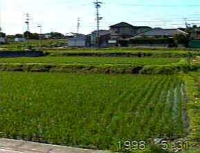 0535.jpg (10953 バイト)