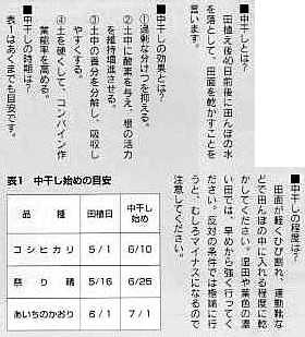 0604.jpg (17924 oCg)