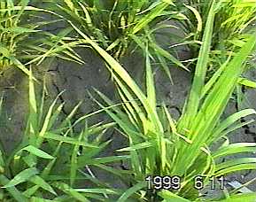 0605.jpg (17892 oCg)