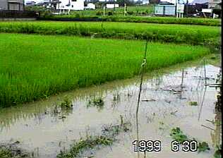 0622.jpg (13602 バイト)