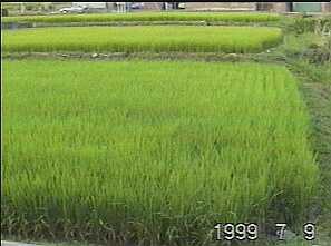 0707.jpg (10120 バイト)
