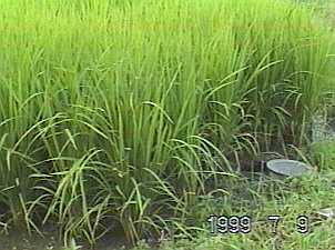 0709.jpg (14620 バイト)