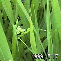 0712.jpg (7915 バイト)