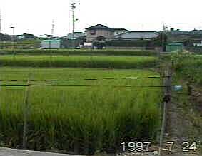 0719.jpg (8114 バイト)