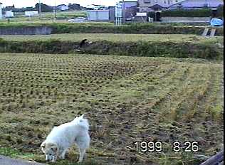0849.jpg (16832 バイト)