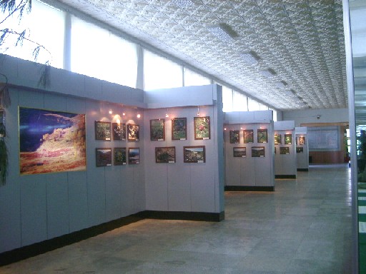 030811036.JPG (57893 oCg)