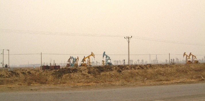 01050524.jpg (64867 oCg)