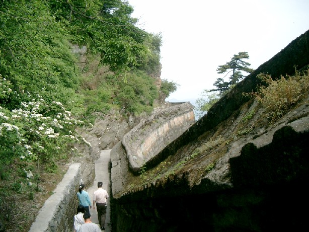 04051561.JPG (110021 バイト)