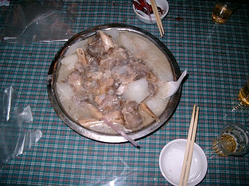 04051414.JPG (92583 バイト)