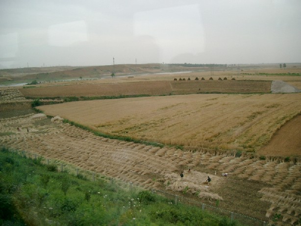 04051603.JPG (70950 バイト)