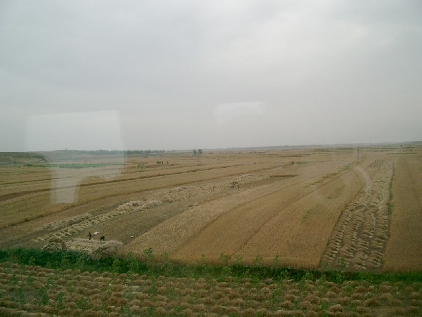 04051604.JPG (57063 バイト)